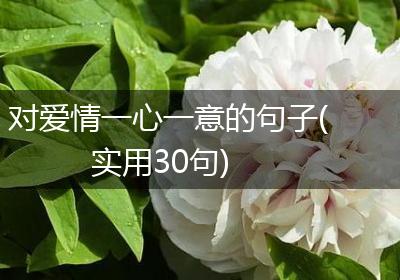 对爱情一心一意的句子(实用30句)