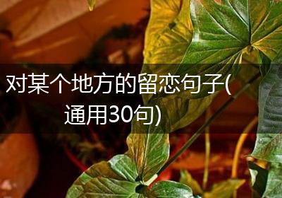 对某个地方的留恋句子(通用30句)