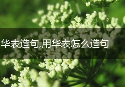华表造句,用华表怎么造句