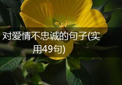 对爱情不忠诚的句子(实用49句)