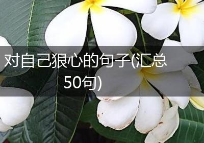 对自己狠心的句子(汇总50句)
