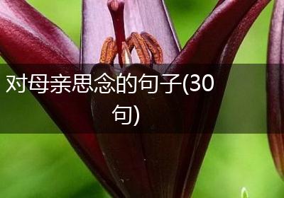 对母亲思念的句子(30句)