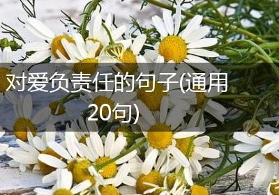 对爱负责任的句子(通用20句)