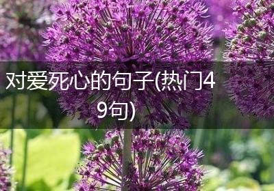 对爱死心的句子(热门49句)