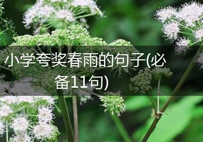 小学夸奖春雨的句子(必备11句)