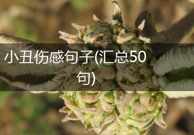 小丑伤感句子(汇总50句)