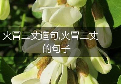 火冒三丈造句,火冒三丈的句子