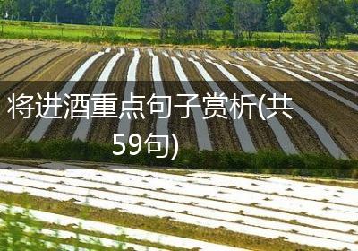 将进酒重点句子赏析(共59句)