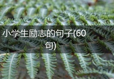 小学生励志的句子(60句)