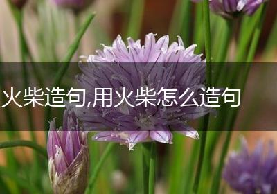 火柴造句,用火柴怎么造句
