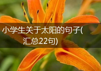 小学生关于太阳的句子(汇总22句)