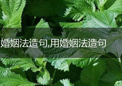 婚姻法造句,用婚姻法造句