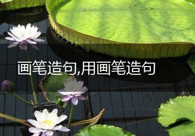 画笔造句,用画笔造句