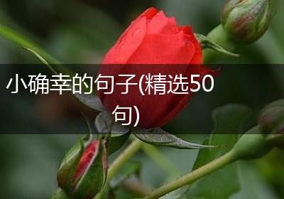小确幸的句子(精选50句)