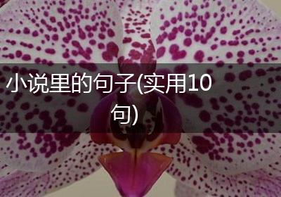 小说里的句子(实用10句)