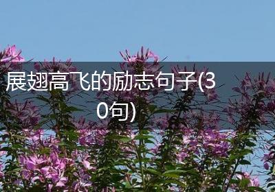 展翅高飞的励志句子(30句)