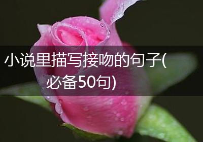 小说里描写接吻的句子(必备50句)