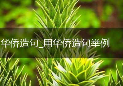 华侨造句_用华侨造句举例