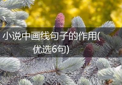 小说中画线句子的作用(优选6句)