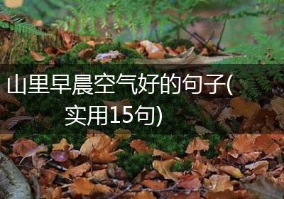山里早晨空气好的句子(实用15句)