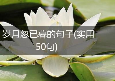 岁月忽已暮的句子(实用50句)