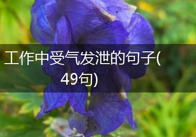 工作中受气发泄的句子(49句)