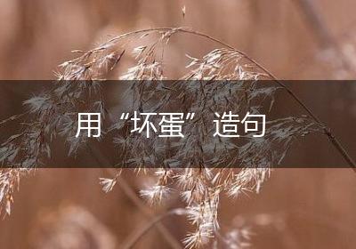 用“坏蛋”造句