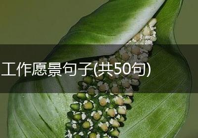 工作愿景句子(共50句)