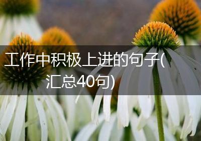 工作中积极上进的句子(汇总40句)