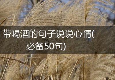带喝酒的句子说说心情(必备50句)