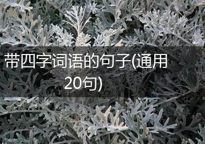 带四字词语的句子(通用20句)