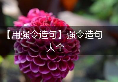 【用强令造句】强令造句大全