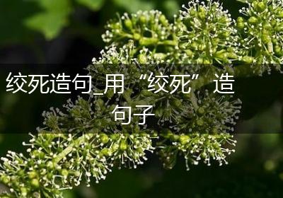 绞死造句_用“绞死”造句子
