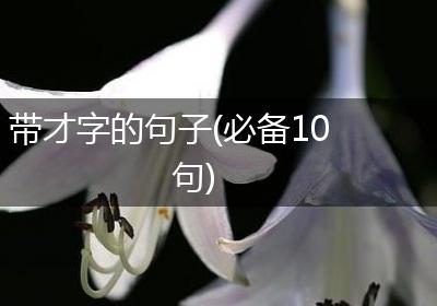 带才字的句子(必备10句)