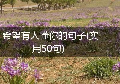 希望有人懂你的句子(实用50句)