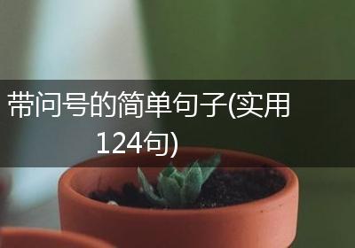 带问号的简单句子(实用124句)