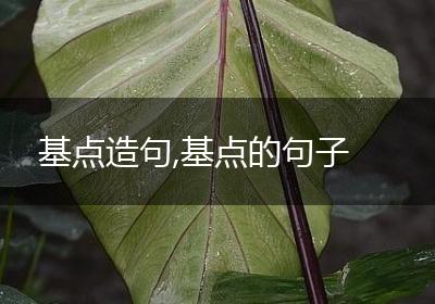 基点造句,基点的句子