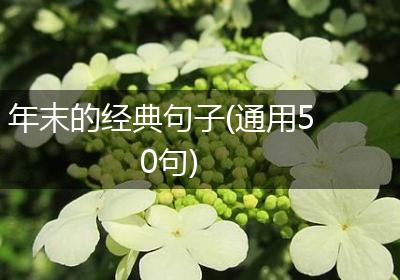 年末的经典句子(通用50句)