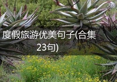 度假旅游优美句子(合集23句)