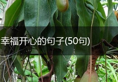 幸福开心的句子(50句)