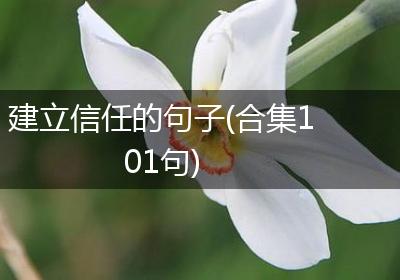 建立信任的句子(合集101句)