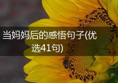 当妈妈后的感悟句子(优选41句)