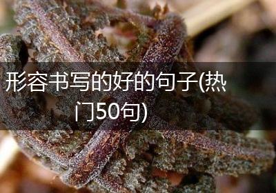 形容书写的好的句子(热门50句)