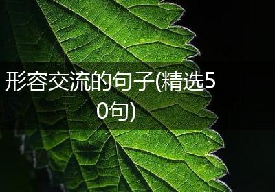 形容交流的句子(精选50句)