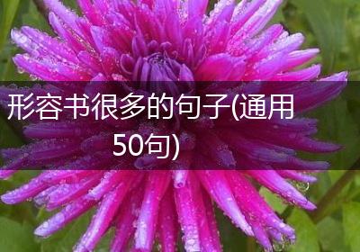 形容书很多的句子(通用50句)