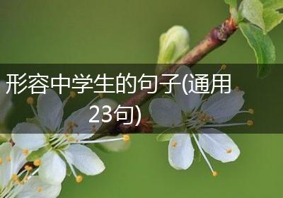 形容中学生的句子(通用23句)