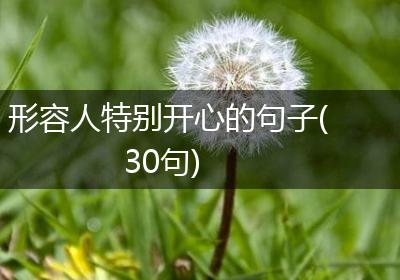 形容人特别开心的句子(30句)