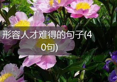 形容人才难得的句子(40句)