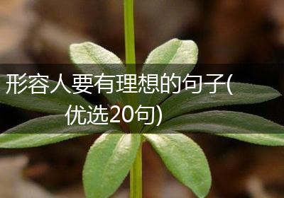 形容人要有理想的句子(优选20句)