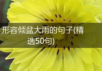 形容倾盆大雨的句子(精选50句)